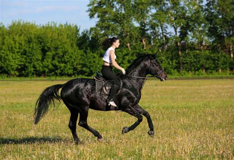 La Fille Montent Son Cheval En Bois D Hiver Image Stock Image Du