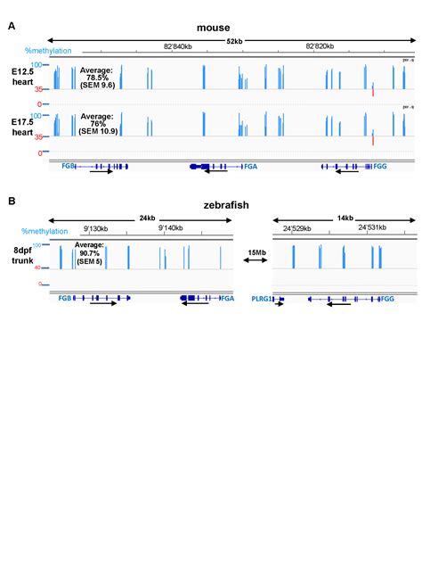 Dna Methylation Profiling Of The Fibrinogen Gene Landscape In Human