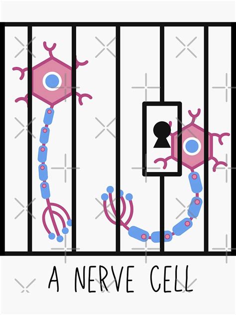 Nerve Cell Neuron Neuroscience Puns Funny Science Jokes Sticker For