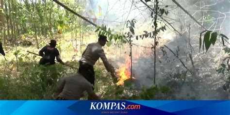 Hektar Lahan Kawasan Wisata Gunung Budheg Tulungagung Terbakar