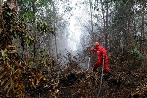 Indonesia Prepares For Cloud Seeding As Forest Fires Rage In Sumatra Kalimantan New Straits