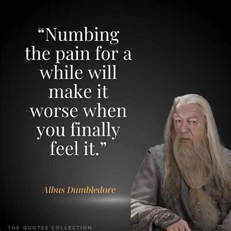 55 Powerful Albus Dumbledore Quotes From Harry Potter The Quotes Collection