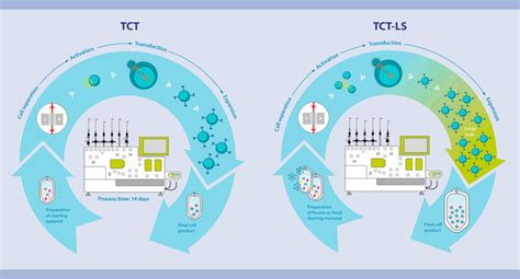 Car T Cell Manufacturing Car T Cell Transduction Miltenyi Biotec Usa