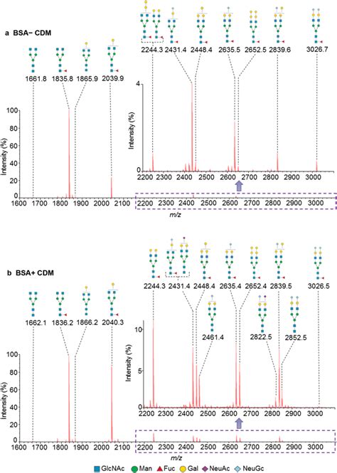 Maldi Tof Ms Spectra Of N Glycans In Migg S Purified From Bsa Cdm