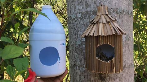 C Mo Hacer Casa De P Jaros How To Make A Birdhouse Youtube