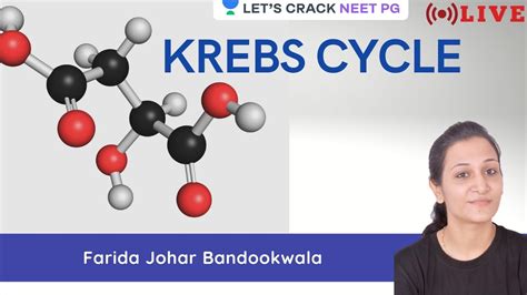 Krebs Cycle Neet Pg Farida Johar Bandookwala Youtube