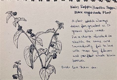 Madhura En Instagram Sketching And Journaling After Long Thought