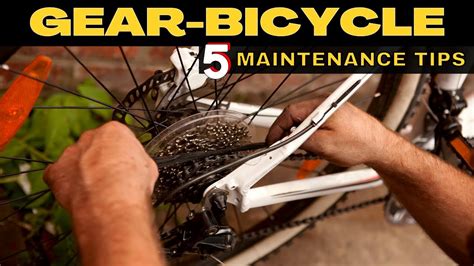 5 Bicycle Maintenance Tips For Beginners Gear Cycle Maintenance Tips