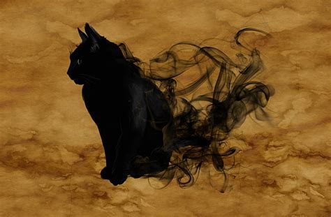 HD wallpaper: Halloween Black Cat, Holidays, Magic, Smoke, Silhouette ...