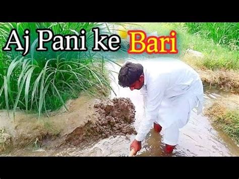 Aj Pani Ke Bari Desi Vlog Village Life Today Vlogs Pakistani Saraiki