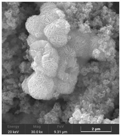 一种空心纳米花状硫化钼硫化铜异质结吸波材料及其制备方法