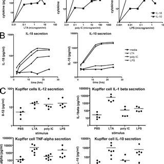 Model Of Tlr Ligand Activation Of Kupffer Cellnk Cell Cross Talk In