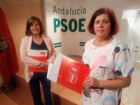 El PSOE Registra Dos Iniciativas Parlamentarias Para Garantizar Los