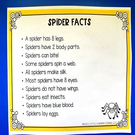 35 Fun Spider Facts for Kids - Little Learning Corner