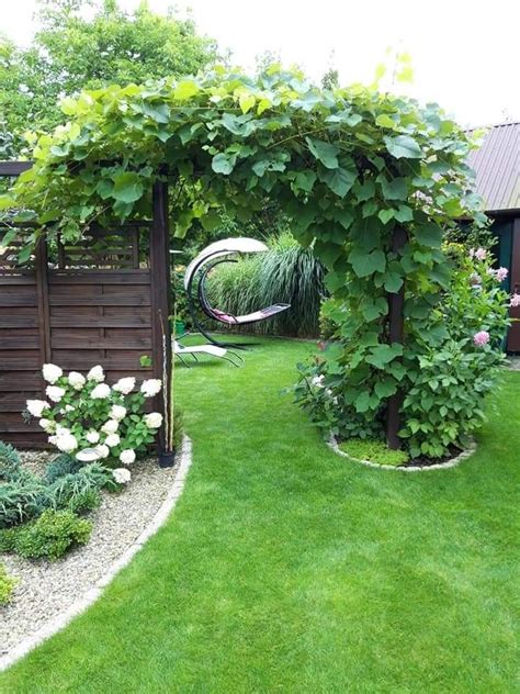 A Garden With Green Grass And White Flowers