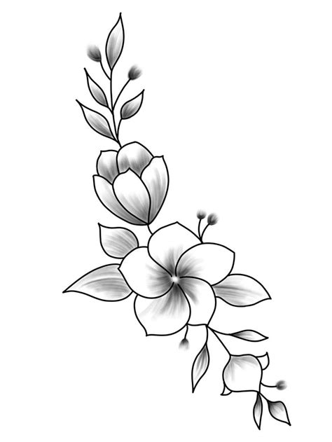 Pin By Jhan Inked On Plantillas Flower Drawing Flower Sketches