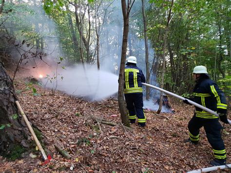 Waldbrand Auf Ca Qm Fl Che Wir Sind St Ingbert