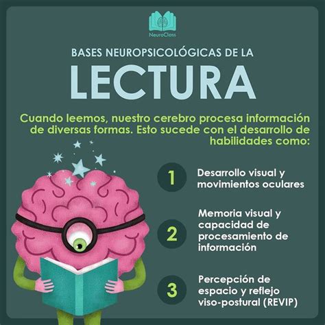 Infograf As Neuroclass Neurociencia Y Educacion Psicologia Y