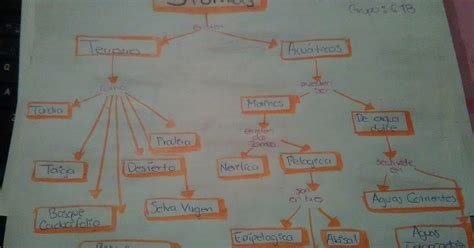 Cuaderno De Biología Iv De Lizbeth Serrano Anaya Grupo 618 Mapa Conceptual De Biomas