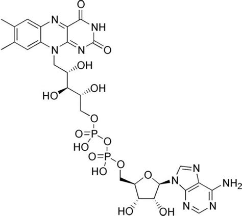 Enzyme Cofactors