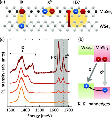 A Schematic Picture Of Interlayer Excitons Ix And Mose Intralayer