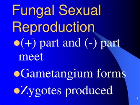 Ppt Fungi Powerpoint Presentation Free Download Id5365657