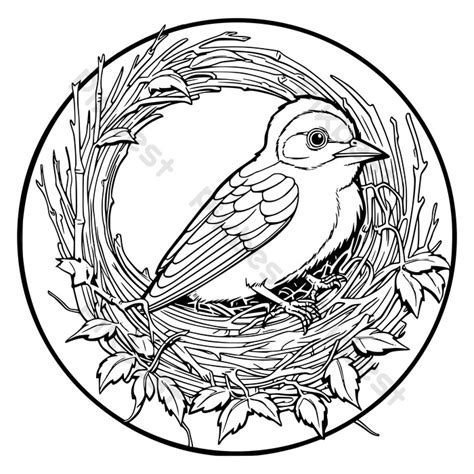 Coloring Page For Kids Bird In Nest PNG Images | EPS Free Download ...