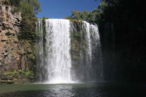 Dangar Falls - Basalt Block-Shaped Waterfall near Dorrigo