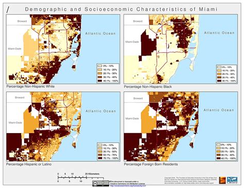 Population Distribution - CITY OF MIAMI