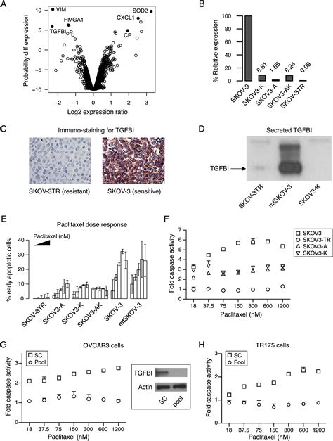 The Extracellular Matrix Protein Tgfbi Induces Microtubule