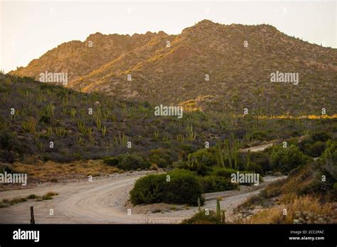 Desert, Sonora Mexico. Sunset, day Stock Photo - Alamy