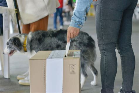 El Voto En Blanco Sin Efectos Jurídicos Para La Segunda Vuelta