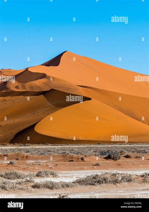 Sand Dune On The Edge Of The Namib Desert Sossusvlei Namib Naukluft National Park Hardap