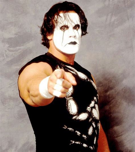 Sting The Franchise Of Wcw Wrestling Superstars Sting Wcw Pro Wrestling