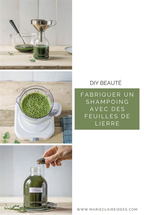 Fabriquer Un Shampoing Naturel Aux Feuilles De Lierre Feuille De