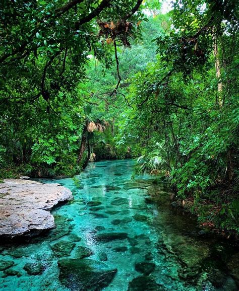 Pure Florida On Instagram When Traveling Through Florida Kelly Park