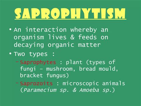 8[1].1 biotic & abiotic components | PPT