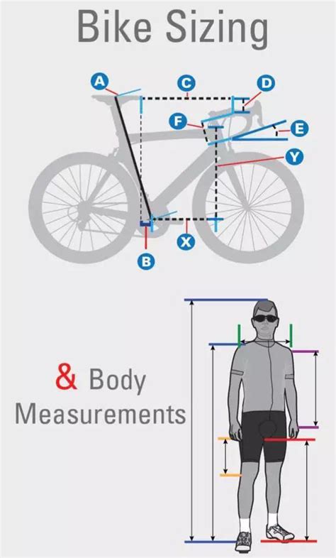 Correct Road Bike Size Top Sellers