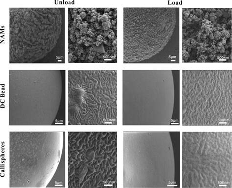 Full Article In Vitro Comparative Study Of Multimodal Imaging Nano