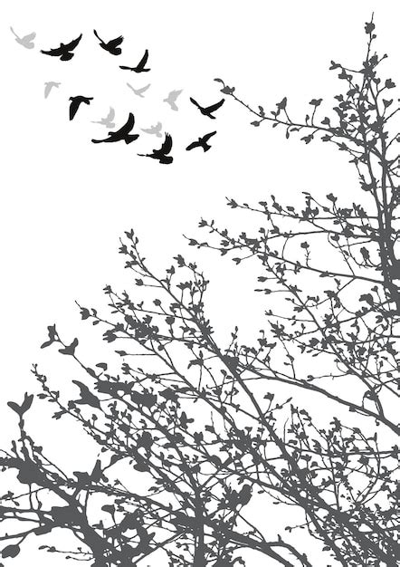 Birds Flying From Tree Silhouette