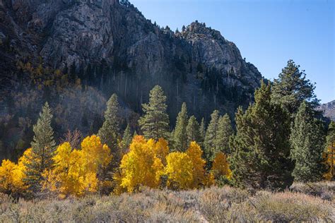 June Lake Loop October 16 2022 June Lake Loop In The Fa Flickr