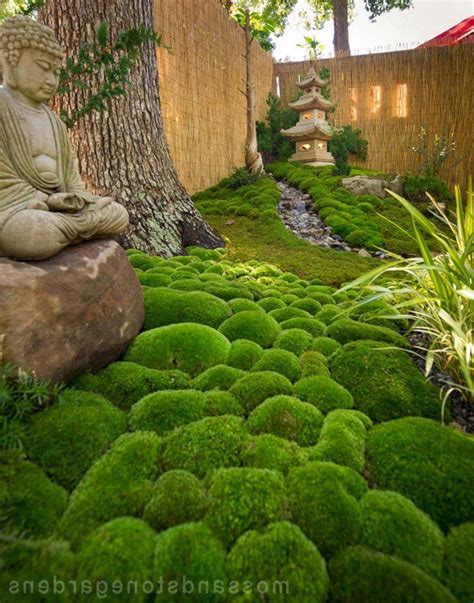 23 Japanese Vegetable Garden Ideas To Try This Year SharonSable