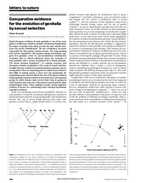 Pdf Comparative Evidence For The Evolution Of Genitalia By Sexual