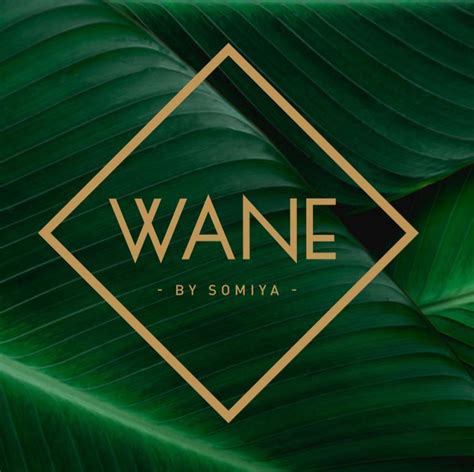 Wane By SoMiya List Of Venues And Destinations In UAE Comingsoon Ae