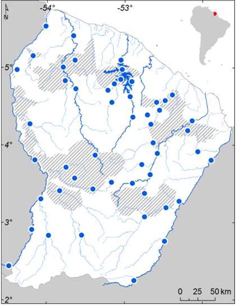 Pdf Mercury Contamination Levels In The Bioindicator Piscivorous Fish