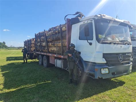 Carabineros detienen a dos sujetos por sustracción de madera en