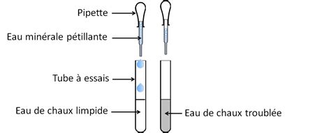 Laboratoire Du Web Chimie Chapitre 4 Le Dioxyde De Carbone