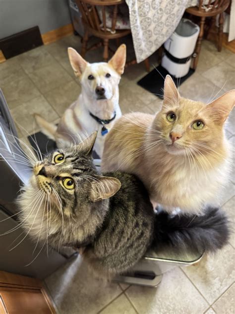 Links 7 26 2025 Naked Capitalism