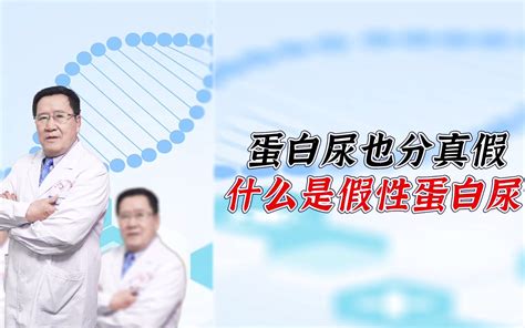 医学科普：蛋白尿也分真假这事你知道吗！ 哔哩哔哩