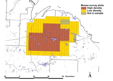 Moose Population On The Rise - Keweenaw Report